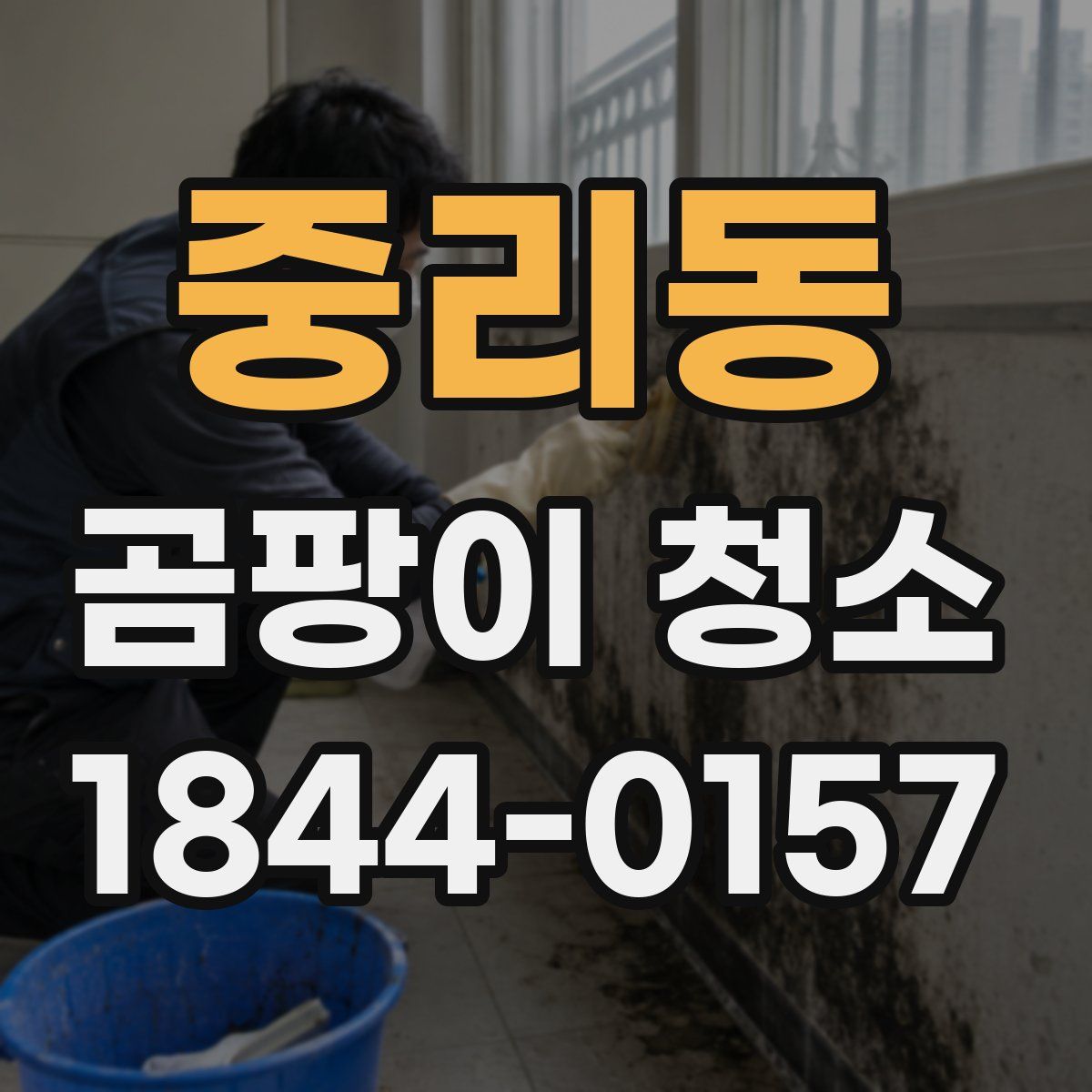 중리동 곰팡이 청소
