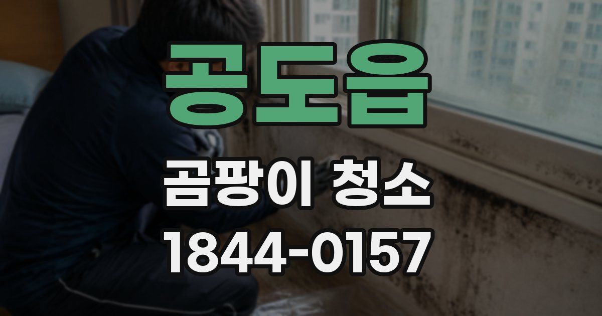 공도읍 곰팡이 청소