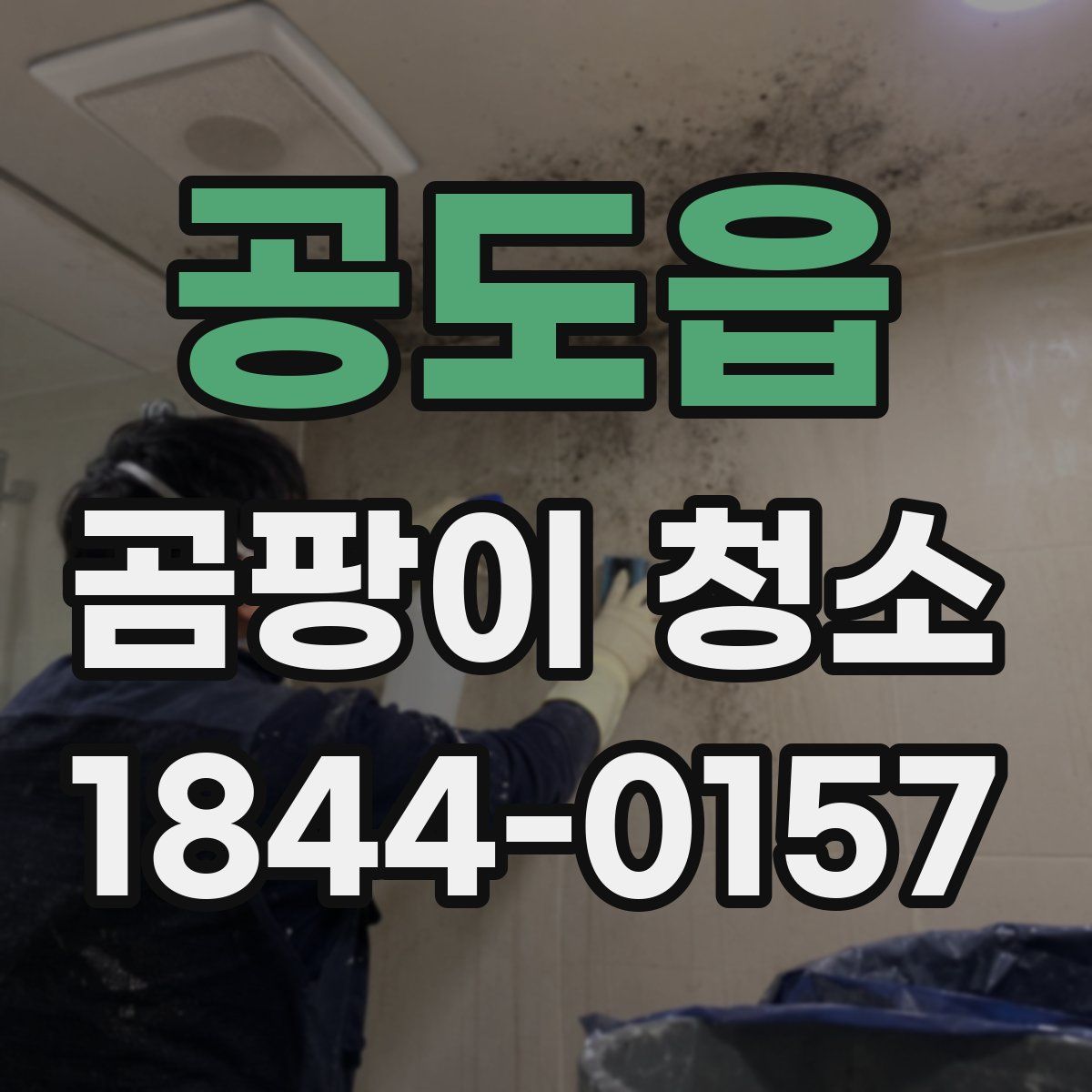 공도읍 곰팡이 청소