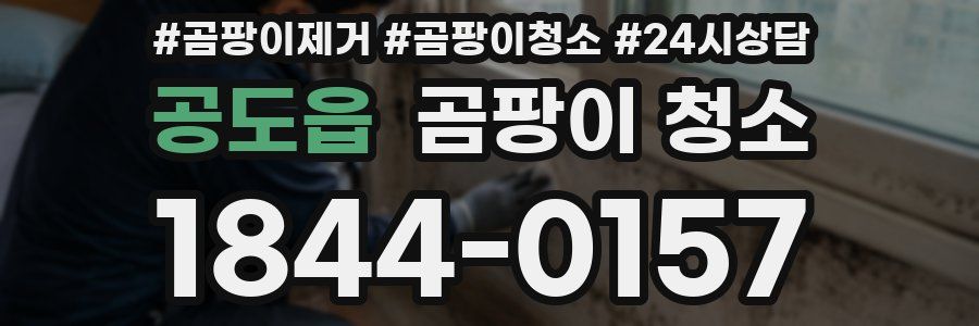 공도읍 곰팡이 청소