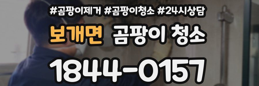 보개면 곰팡이 청소