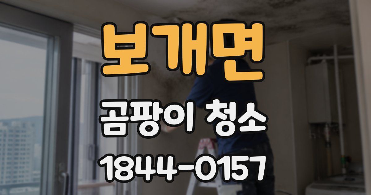 보개면 곰팡이 청소
