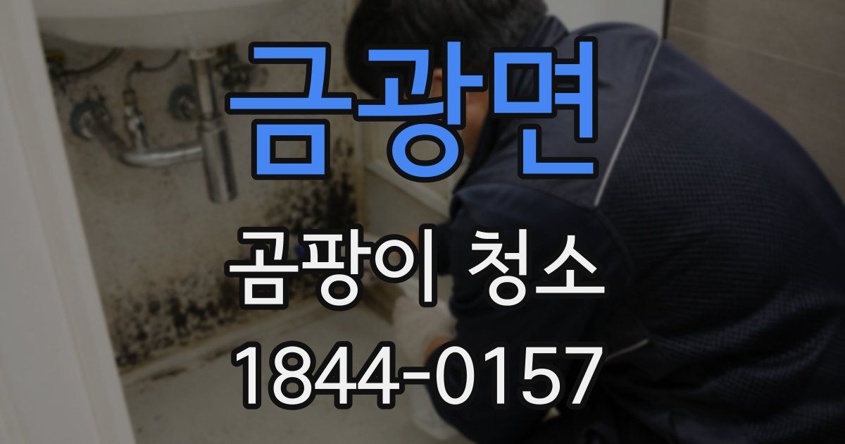 금광면 곰팡이 청소