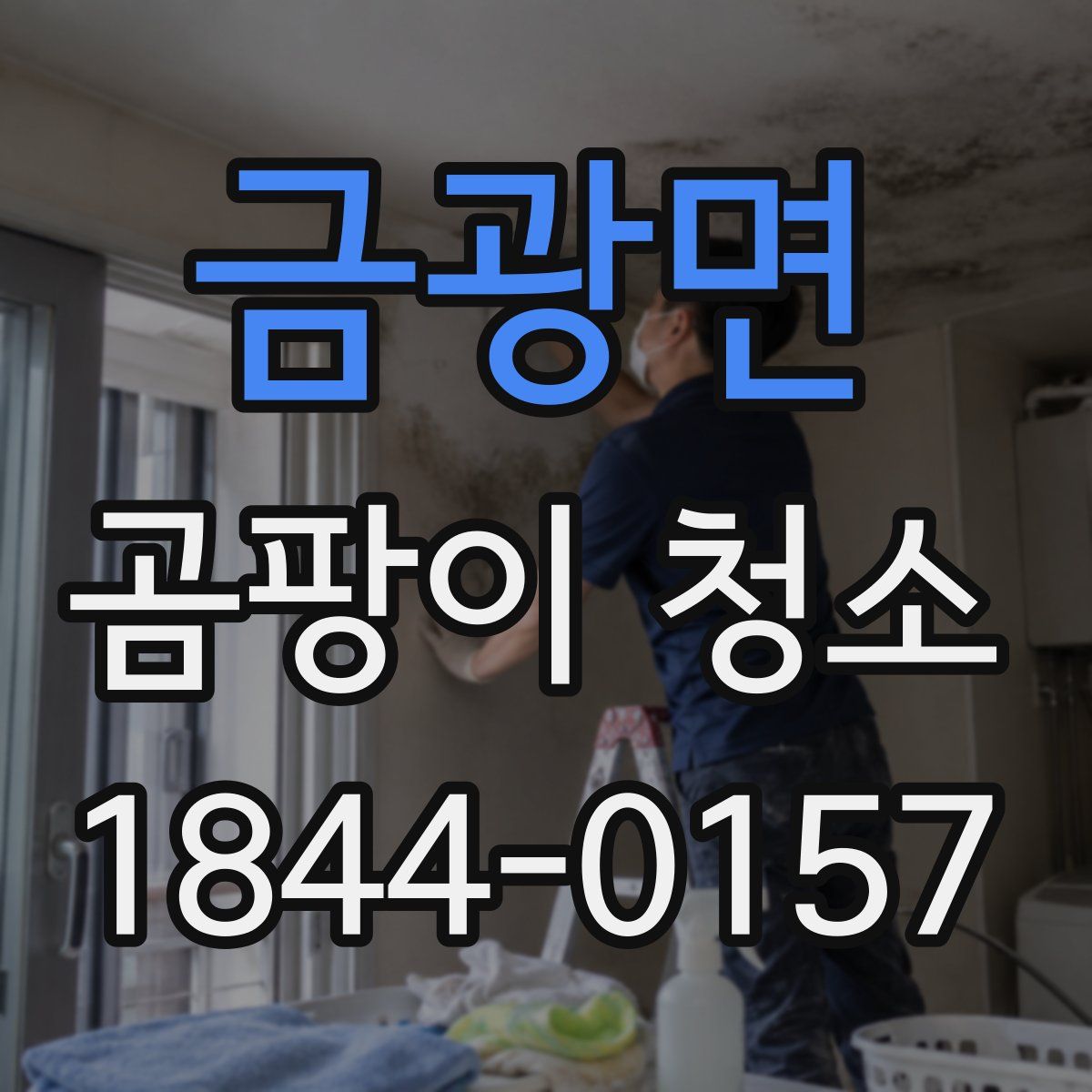 금광면 곰팡이 청소