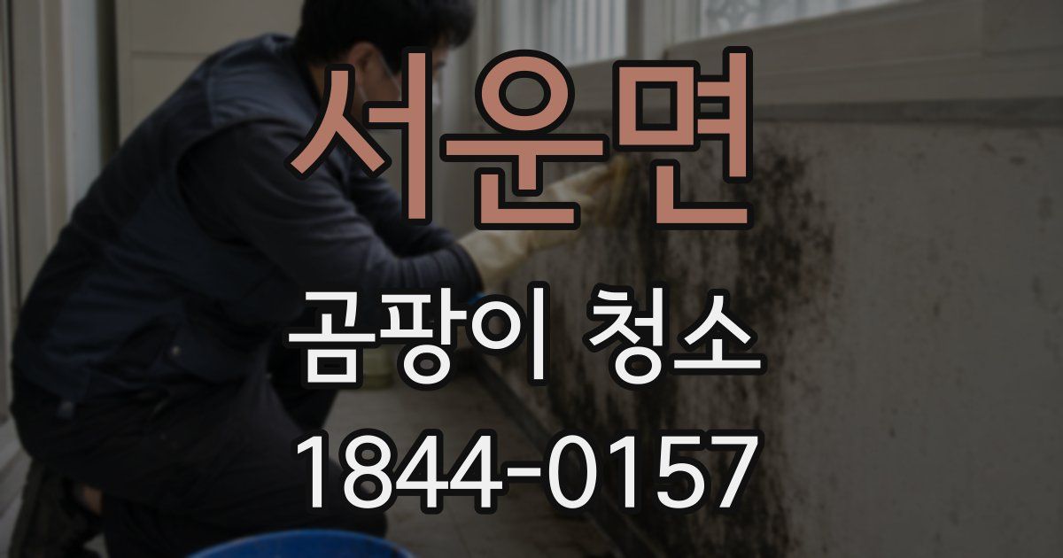 서운면 곰팡이 청소