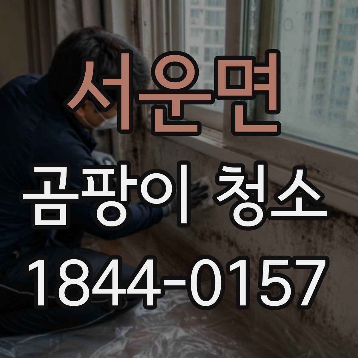 서운면 곰팡이 청소