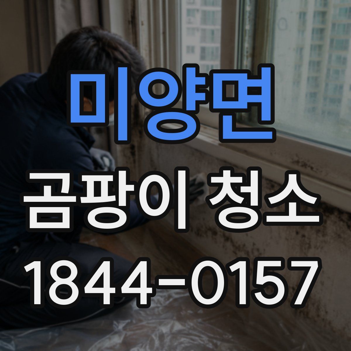 미양면 곰팡이 청소