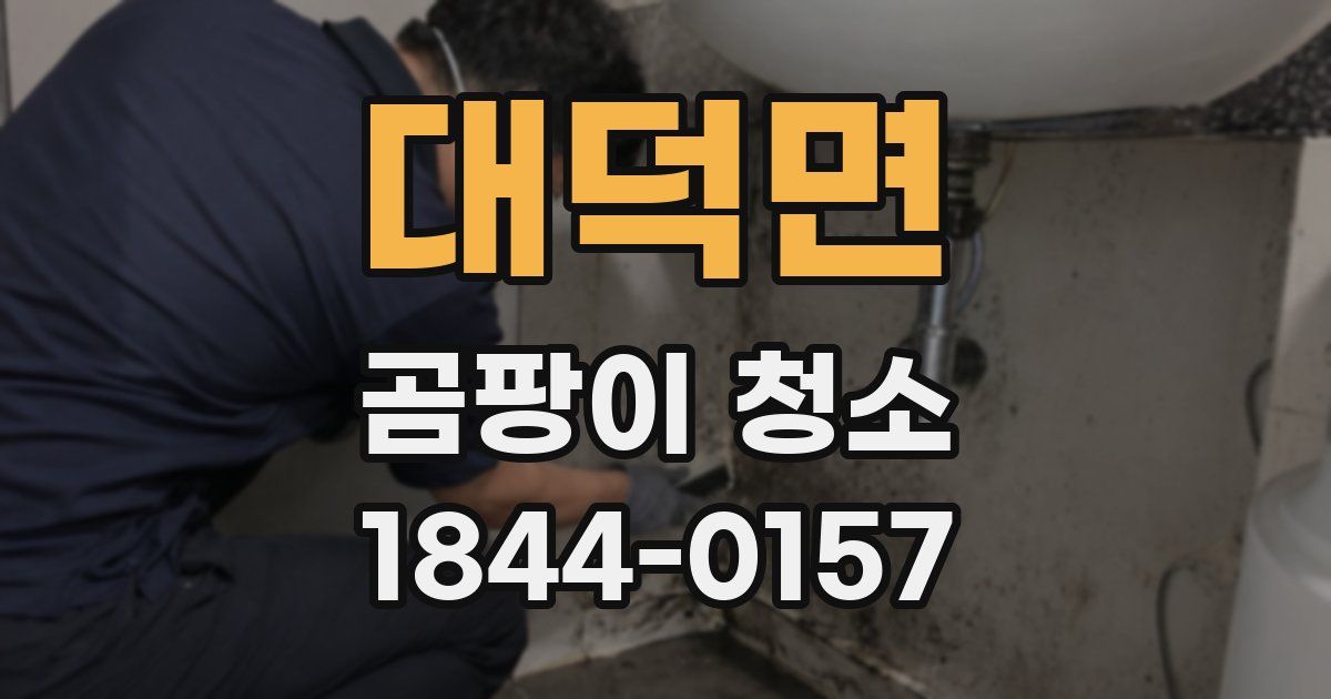 대덕면 곰팡이 청소