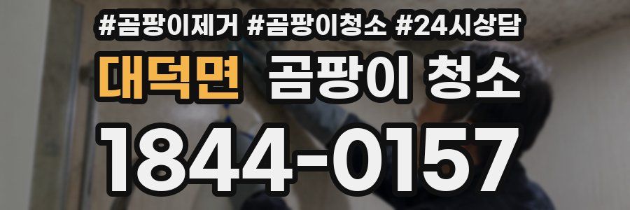 대덕면 곰팡이 청소