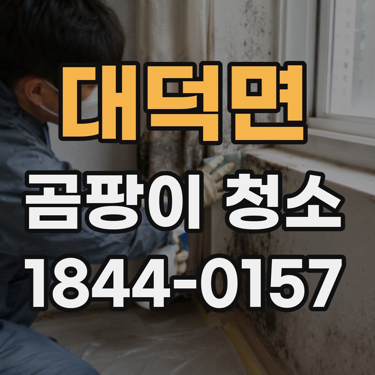 대덕면 곰팡이 청소