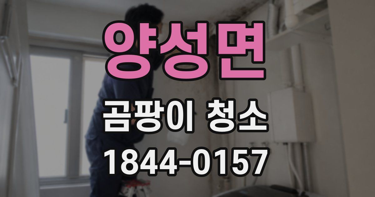 양성면 곰팡이 청소