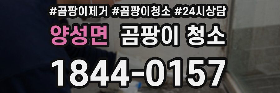 양성면 곰팡이 청소