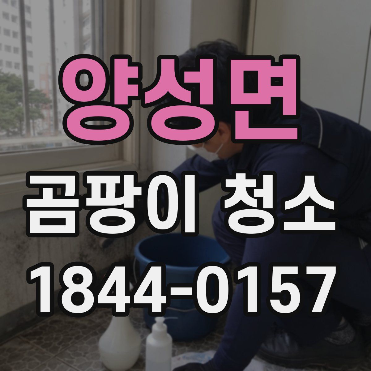 양성면 곰팡이 청소