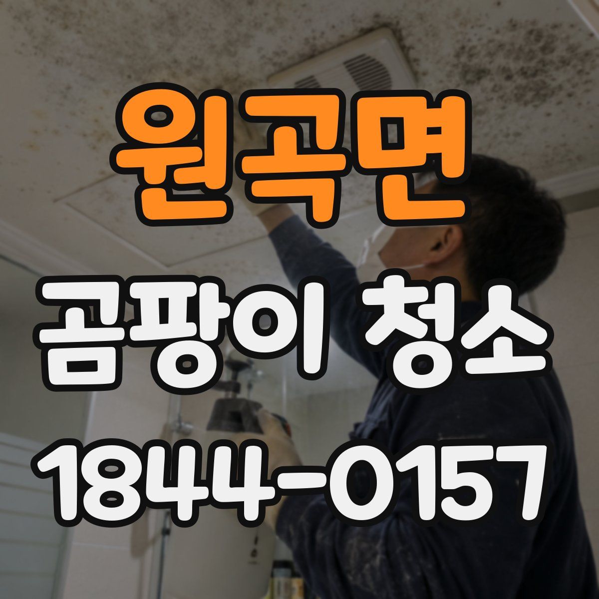 원곡면 곰팡이 청소