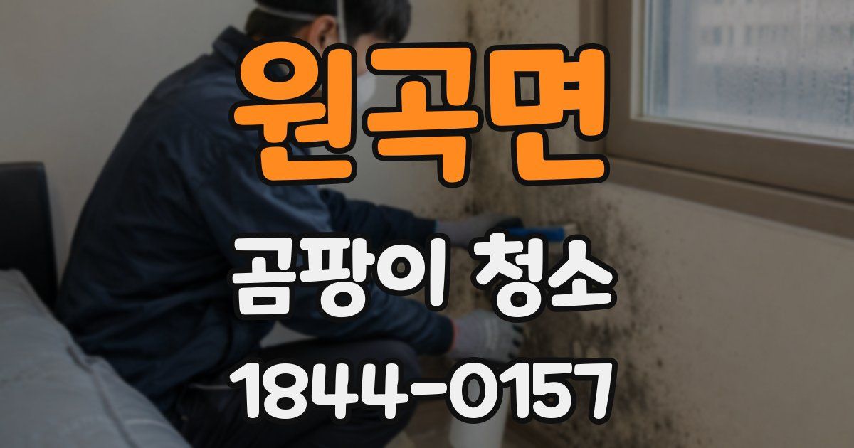 원곡면 곰팡이 청소