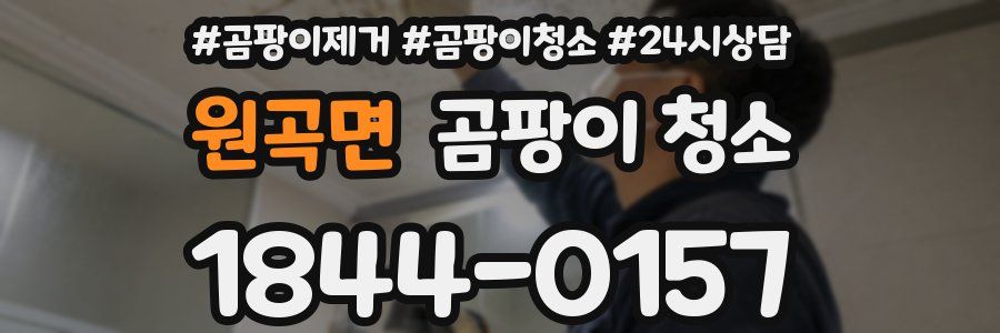 원곡면 곰팡이 청소