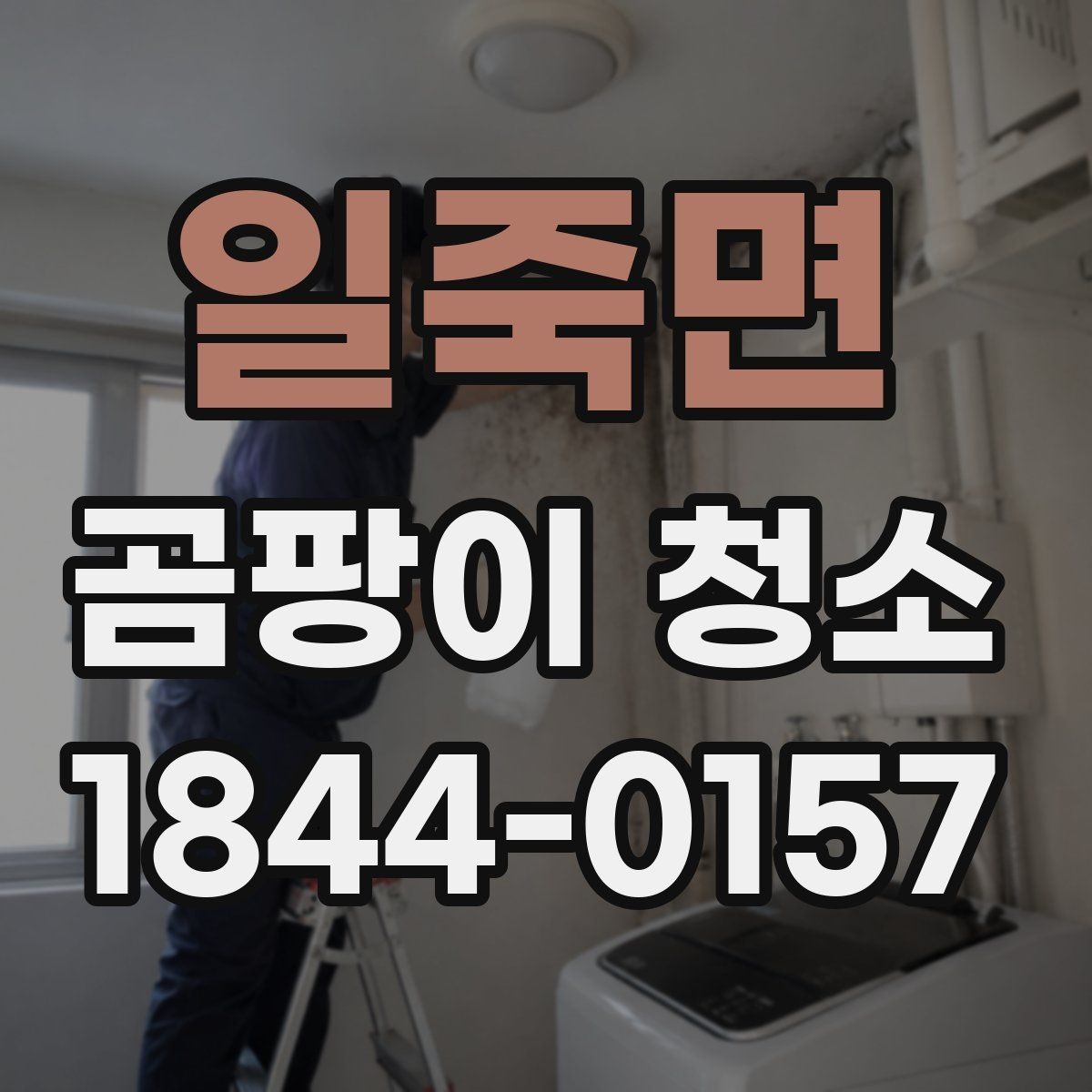 일죽면 곰팡이 청소 욕실 배수구 주변이 반복 오염되는 배경