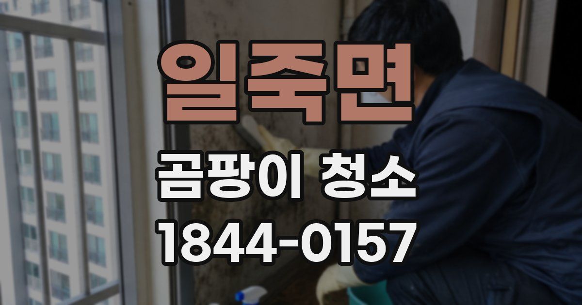 일죽면 곰팡이 청소