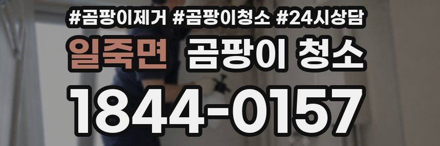 일죽면 곰팡이 청소