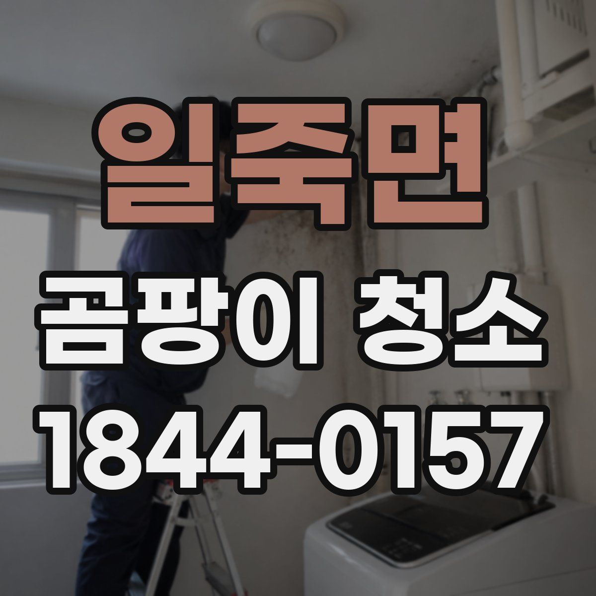 일죽면 곰팡이 청소