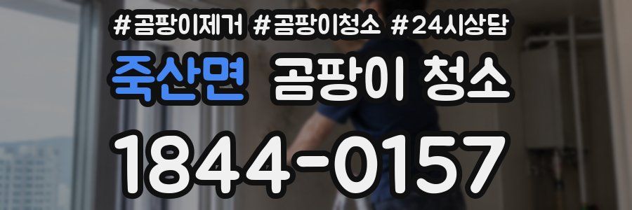 죽산면 곰팡이 청소