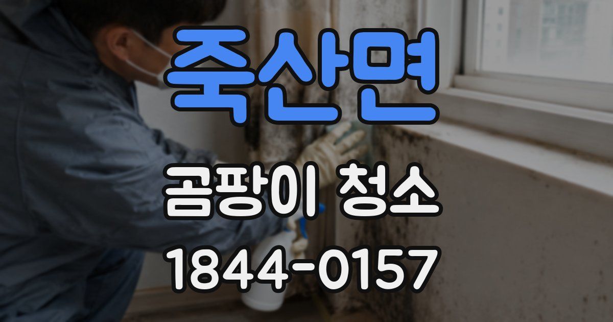 죽산면 곰팡이 청소