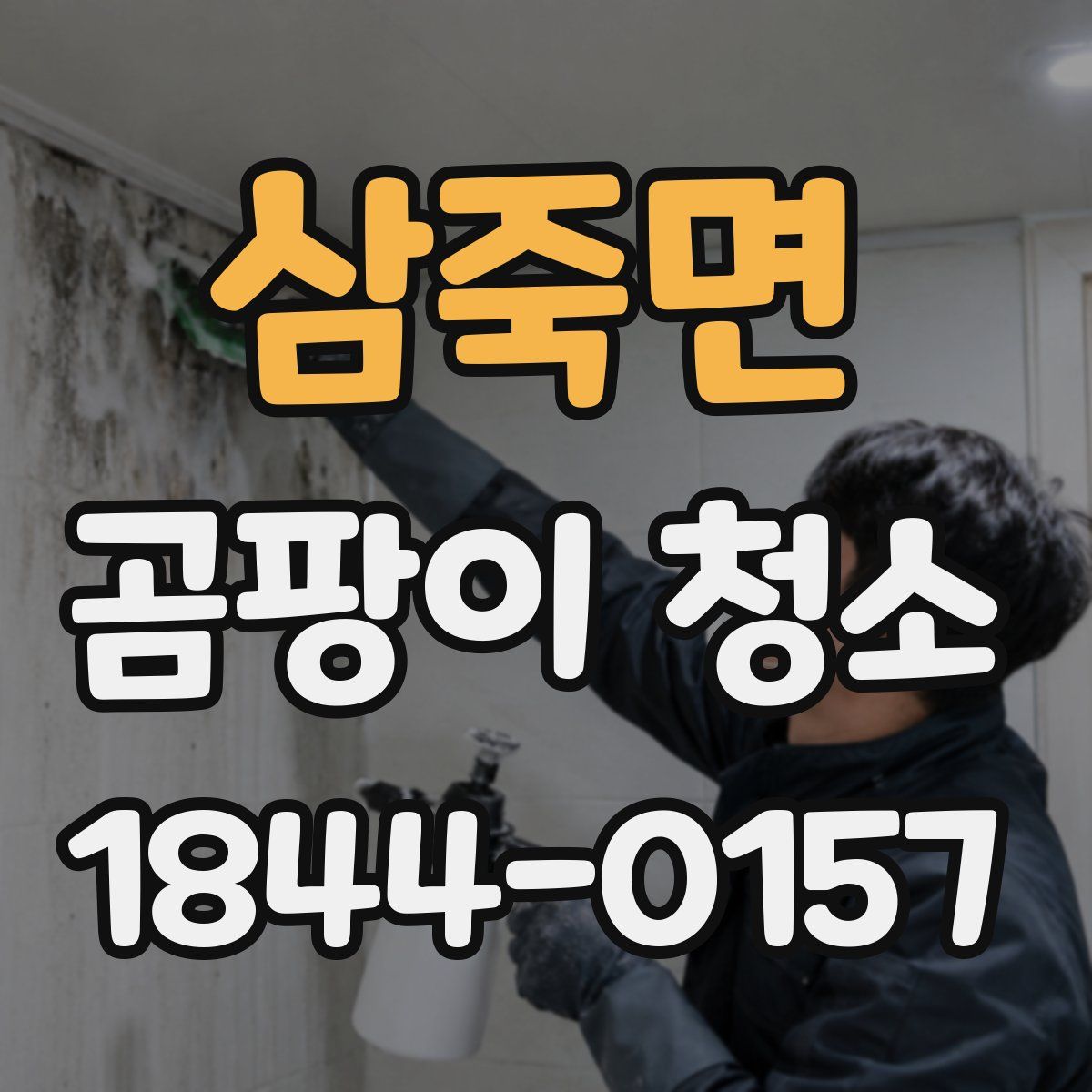 삼죽면 곰팡이 청소