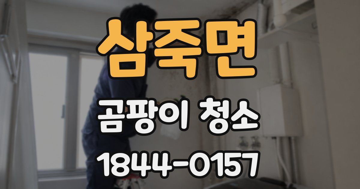 삼죽면 곰팡이 청소