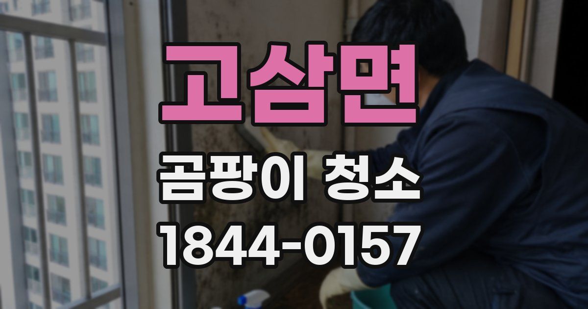고삼면 곰팡이 청소
