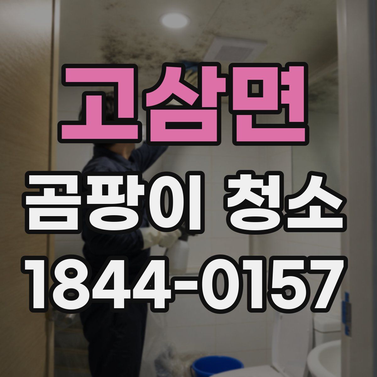 고삼면 곰팡이 청소