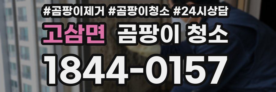 고삼면 곰팡이 청소