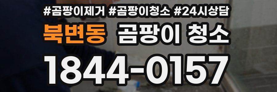 북변동 곰팡이 청소