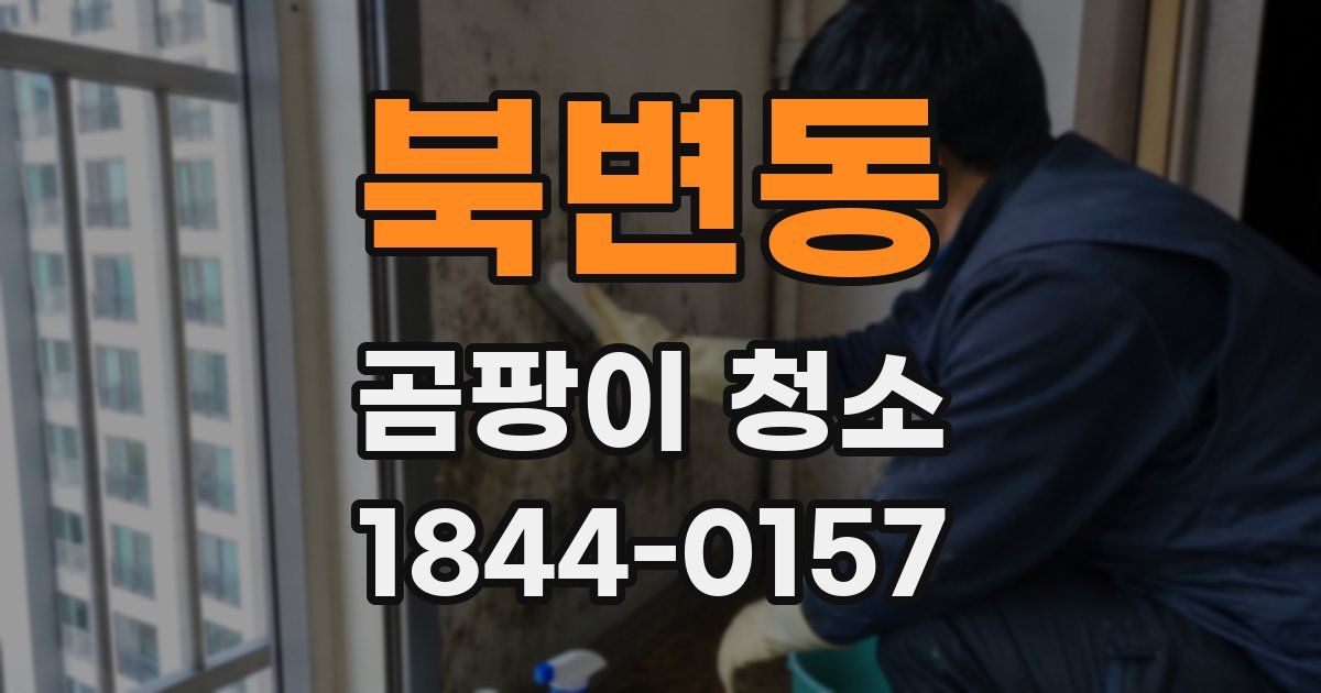 북변동 곰팡이 청소