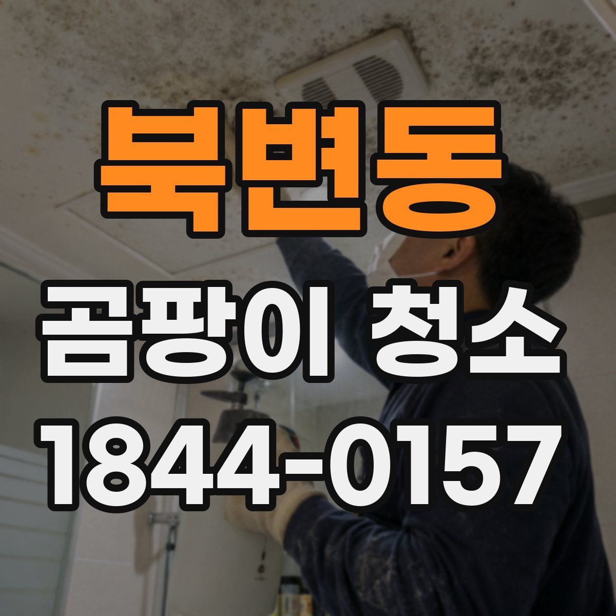 북변동 곰팡이 청소