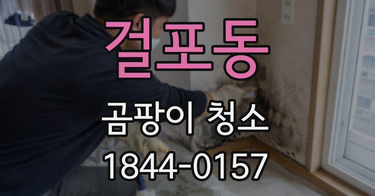 걸포동 곰팡이 청소