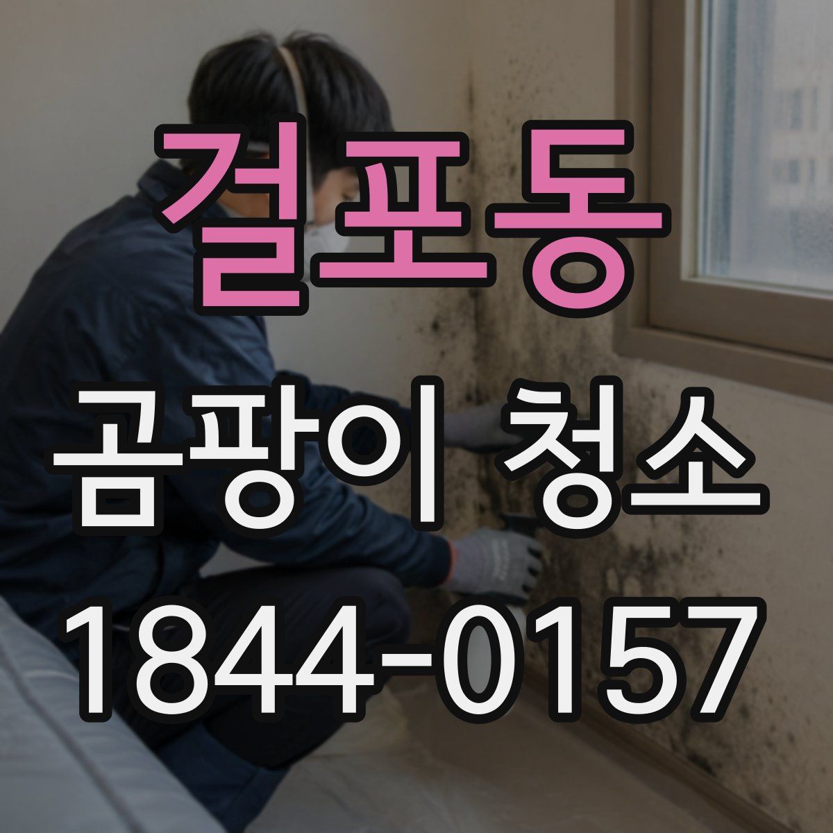 걸포동 곰팡이 청소