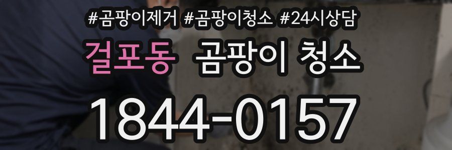 걸포동 곰팡이 청소