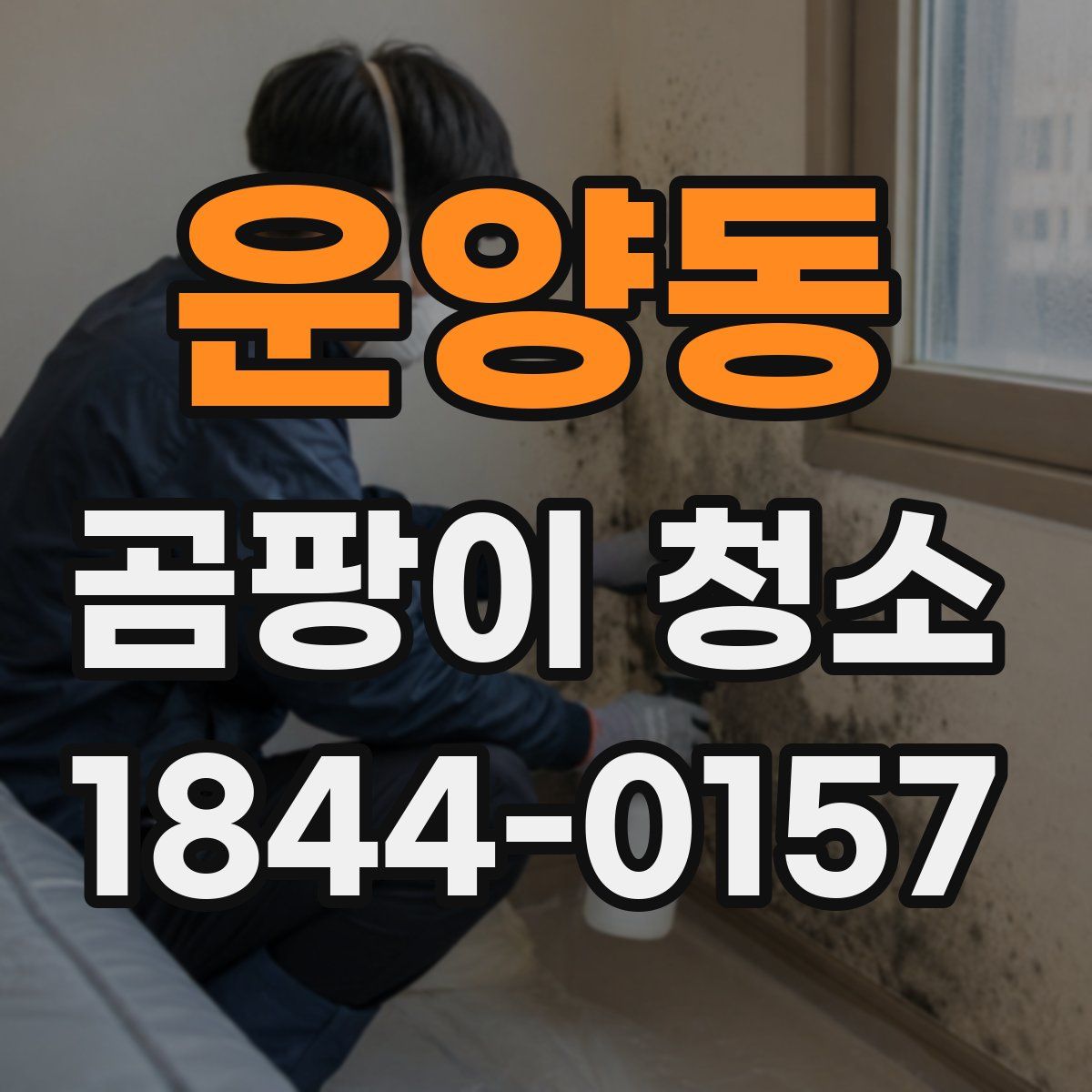 운양동 곰팡이 청소