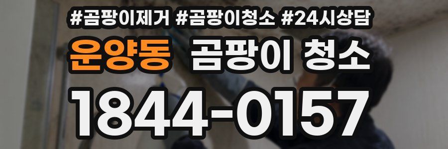 운양동 곰팡이 청소