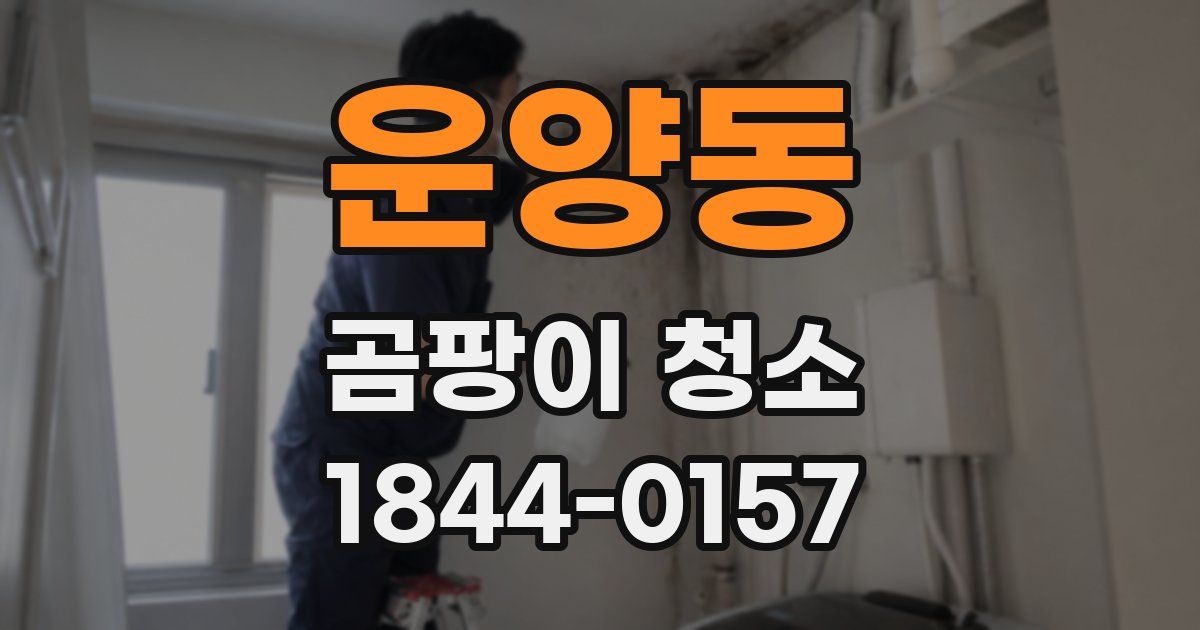 운양동 곰팡이 청소