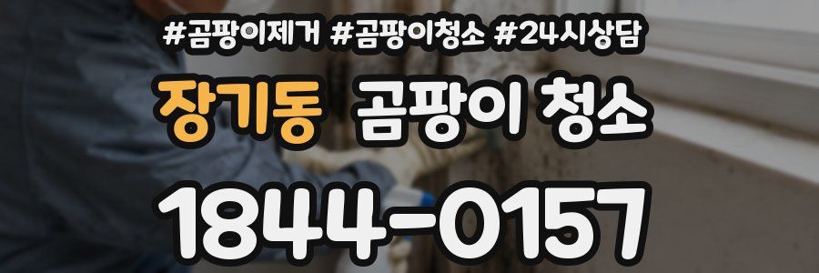 장기동 곰팡이 청소