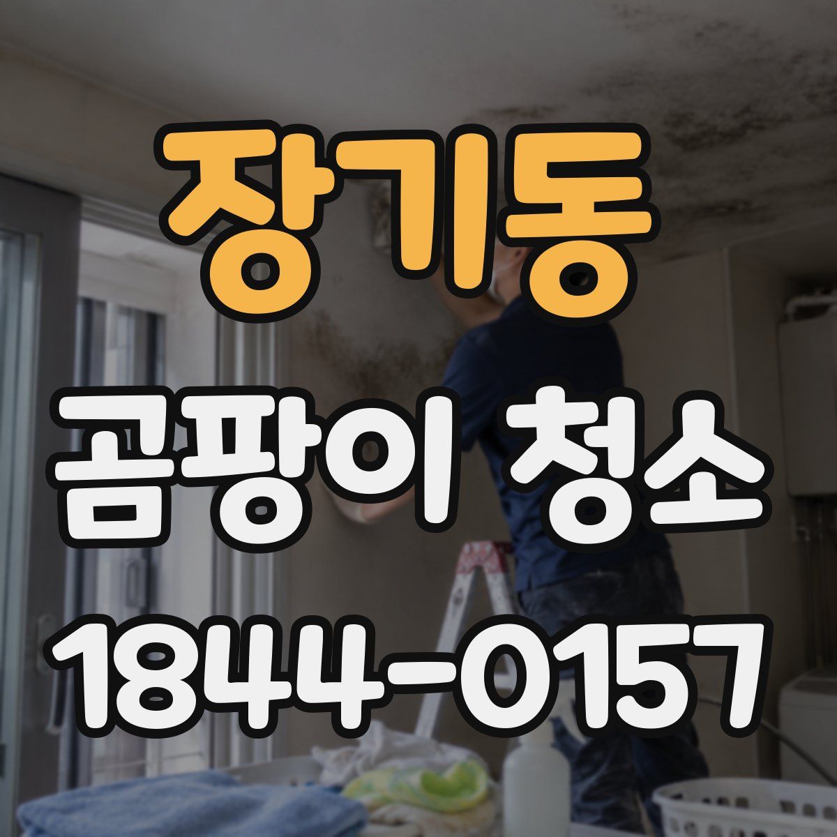 장기동 곰팡이 청소