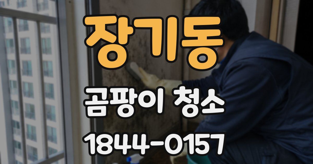장기동 곰팡이 청소