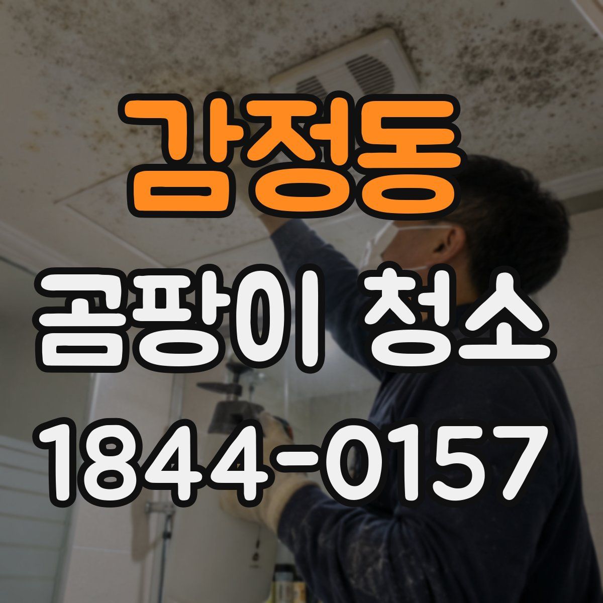 감정동 곰팡이 청소
