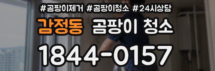 감정동 곰팡이 청소