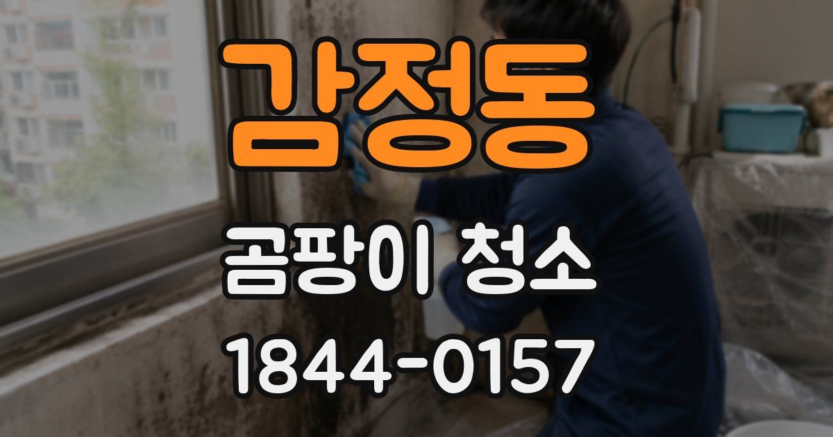 감정동 곰팡이 청소