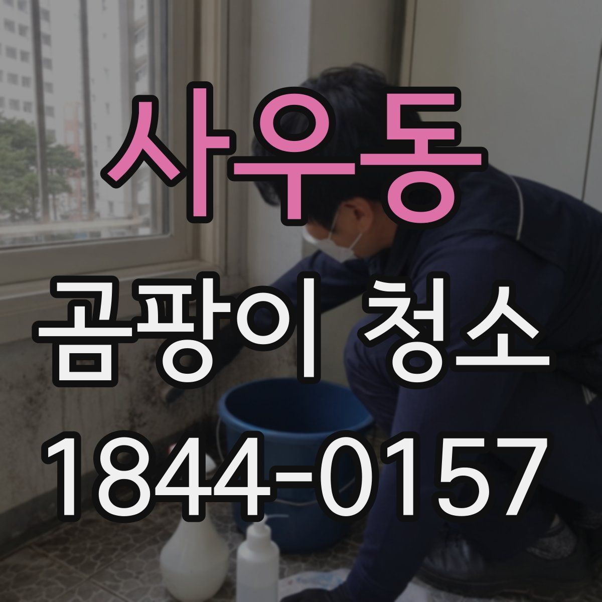 사우동 곰팡이 청소