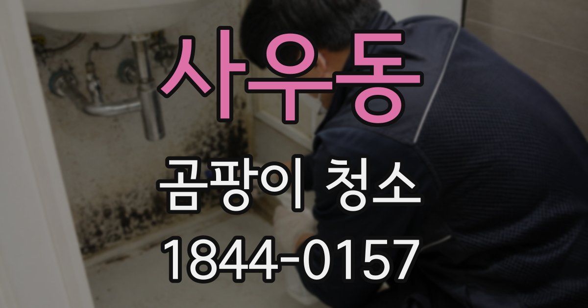 사우동 곰팡이 청소