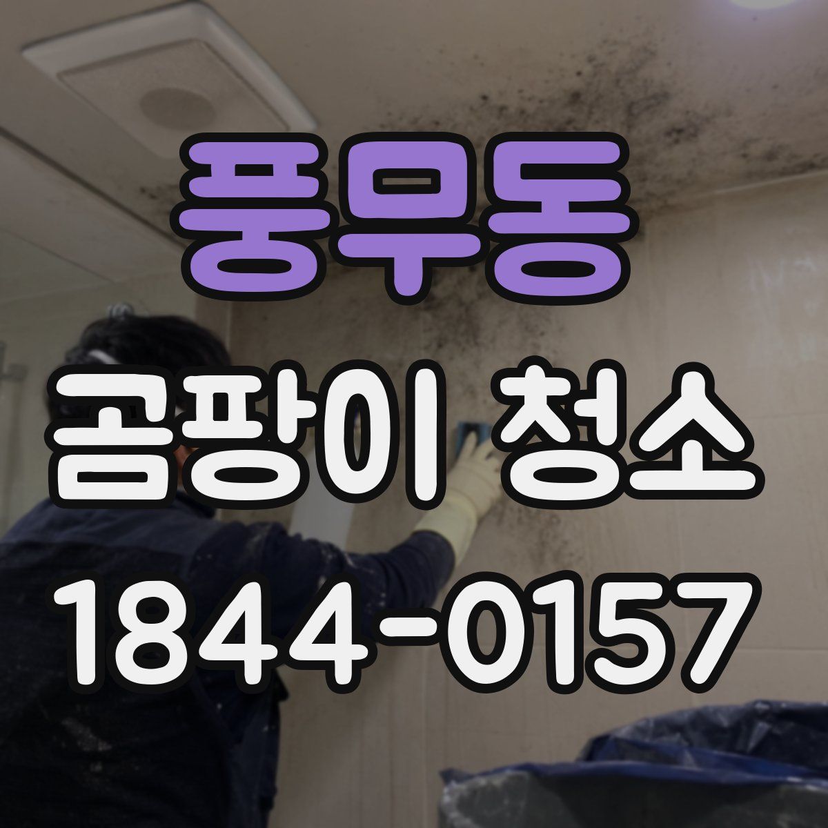 풍무동 곰팡이 청소