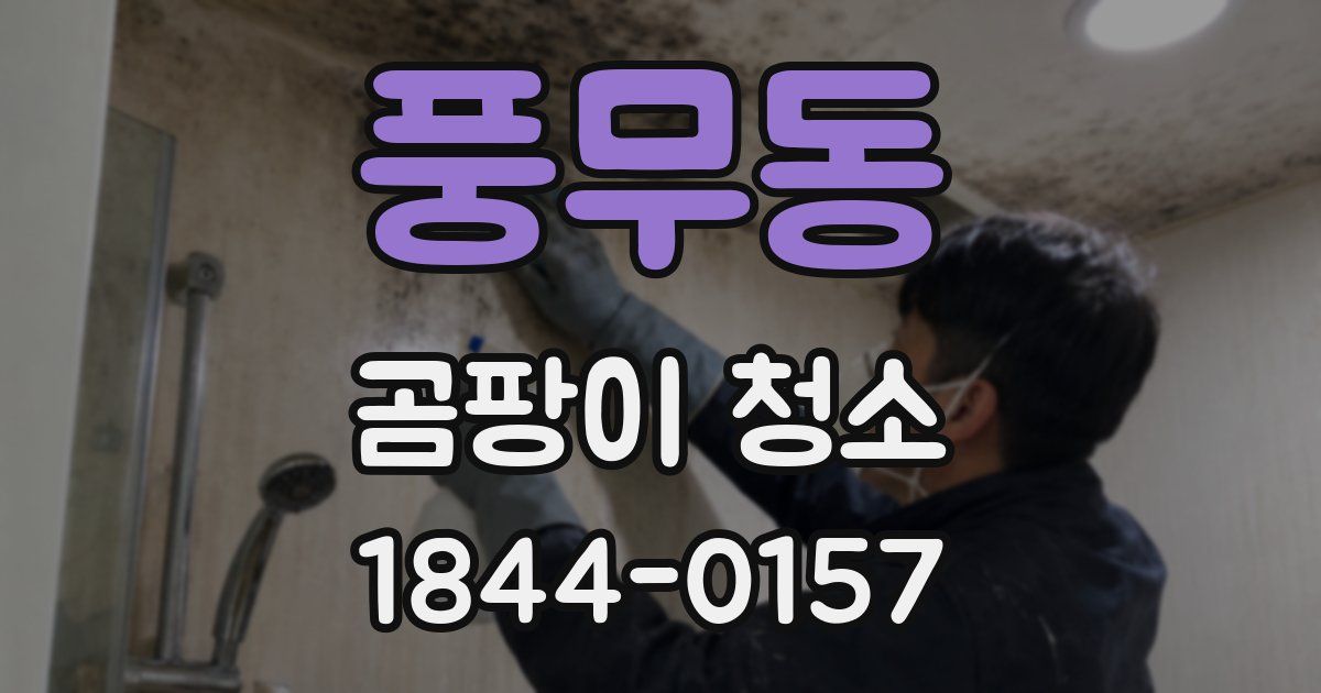 풍무동 곰팡이 청소